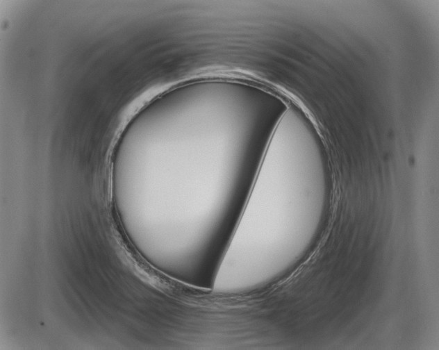X0000086101371200703231040