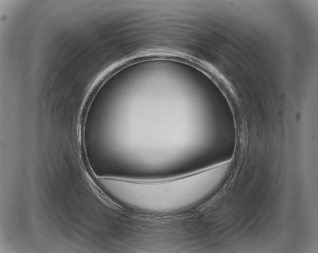 X0000086101372200703231040
