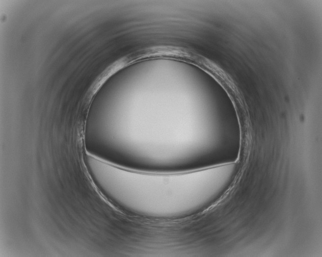 X0000086101377200703231039