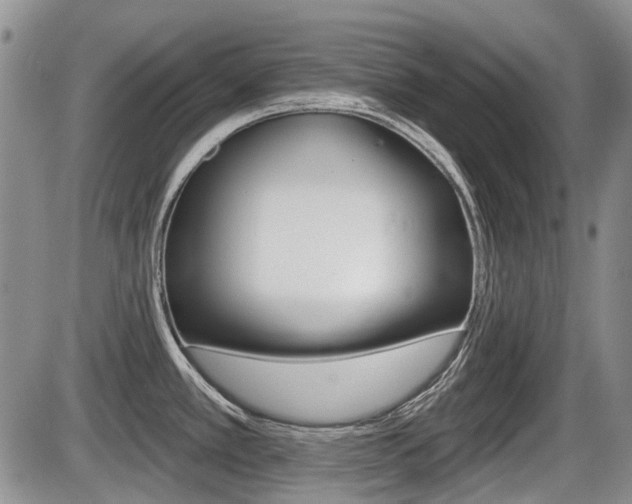 X0000086101389200703231039