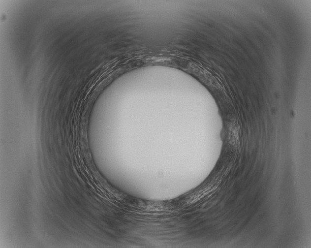 X0000086101393200703231038