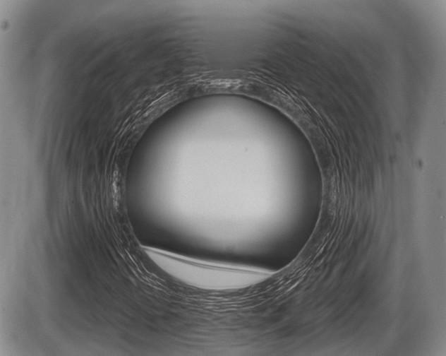 X0000086101394200703231038