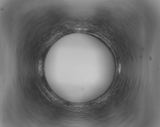 X0000086101396200703231038