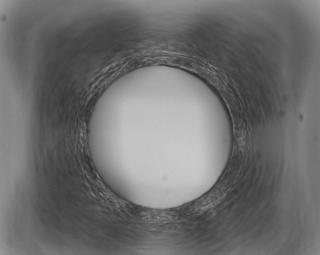 X0000086101397200703231038