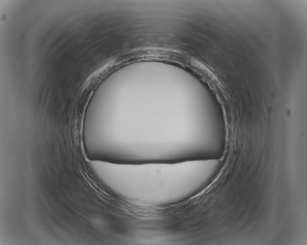 X0000086101403200703231039