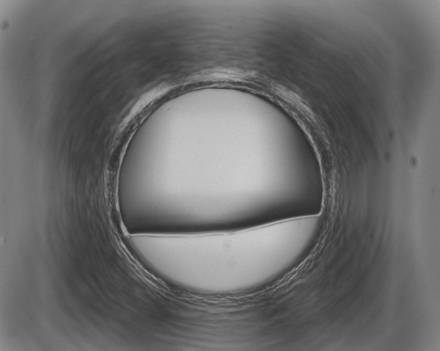 X0000086101404200703231039