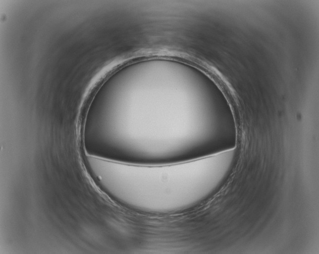 X0000086101416200703231039