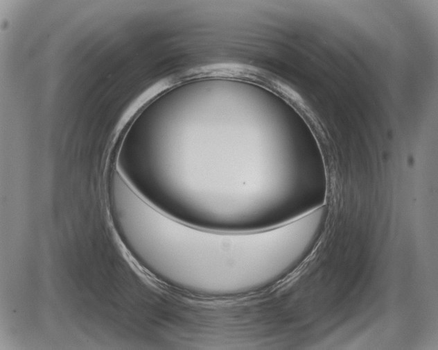 X0000086101426200703231039
