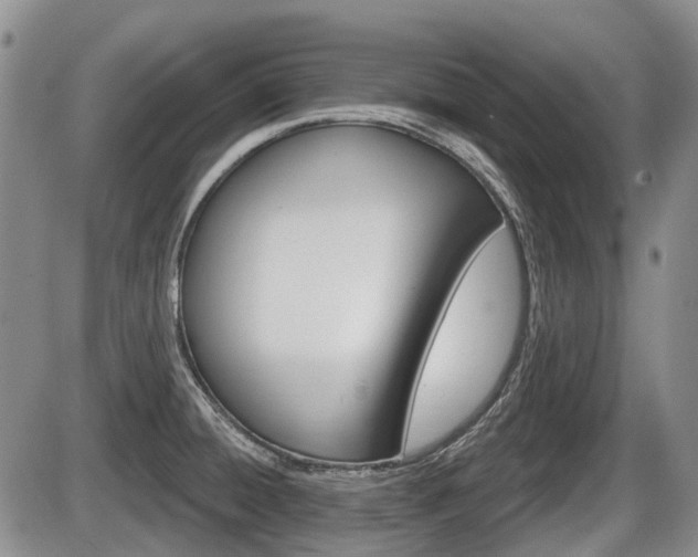 X0000086101428200703231039