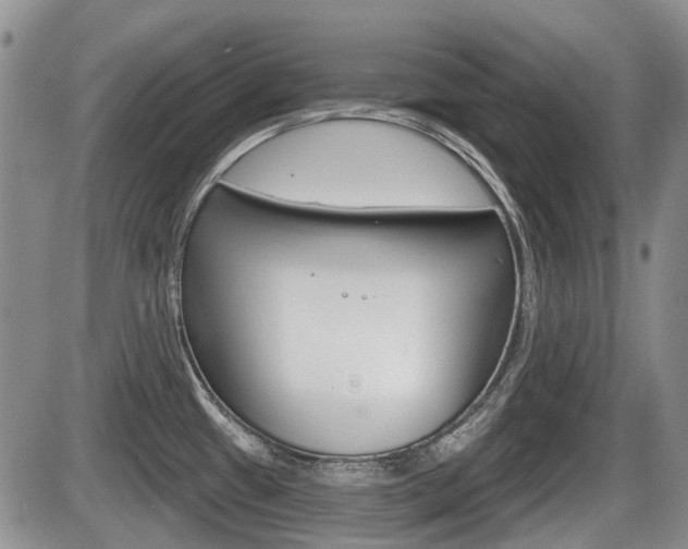 X0000086101433200703231039