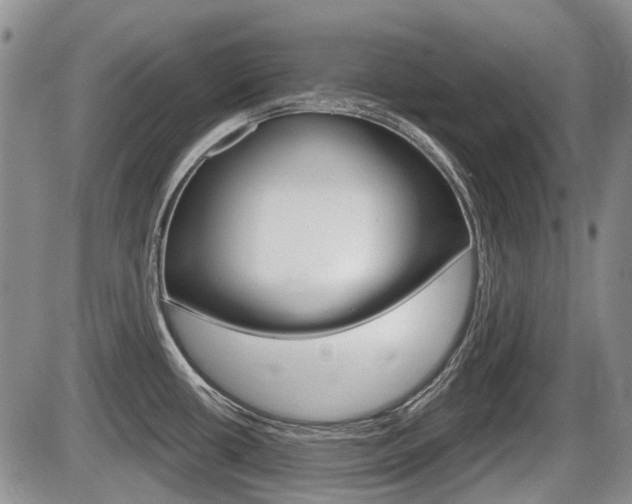 X0000086101434200703231039