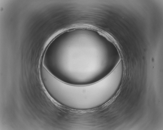 X0000086101438200703231039