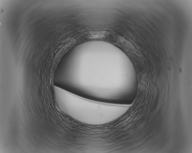 X0000086101441200703231038