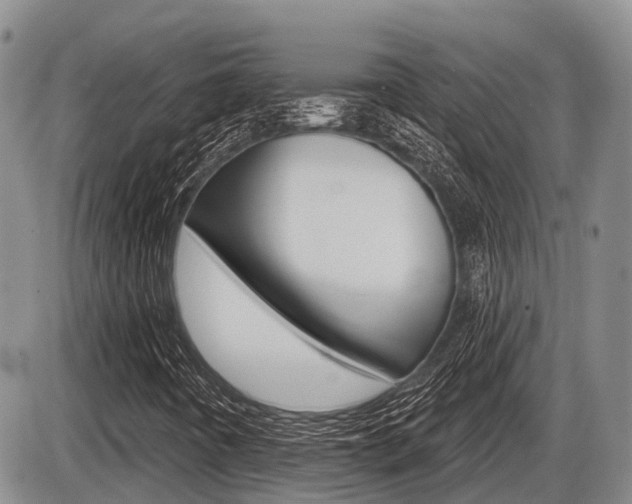X0000086101442200703231038