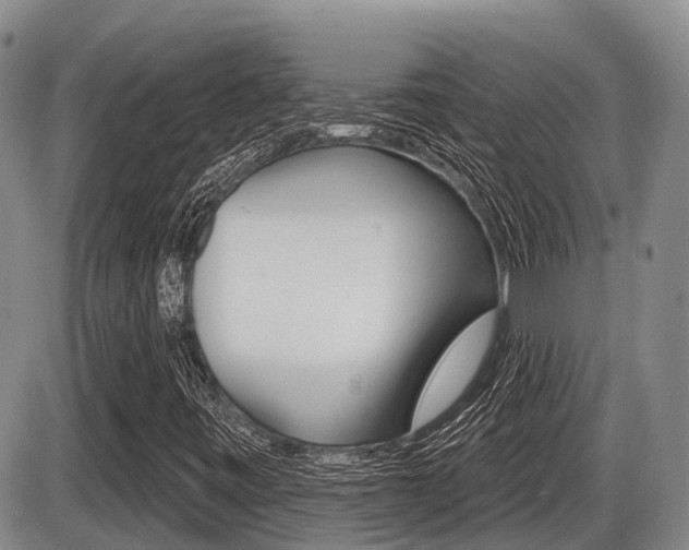 X0000086101443200703231038