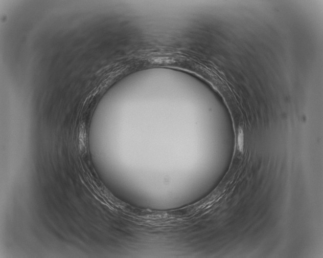 X0000086101444200703231038