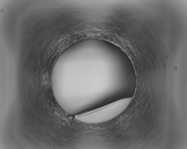 X0000086101445200703231038