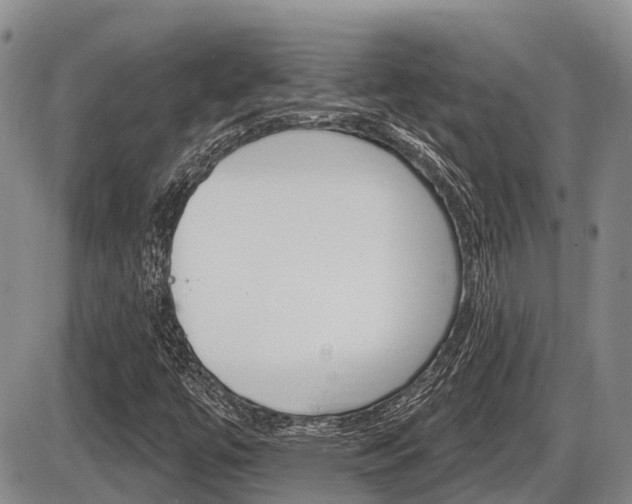 X0000086101447200703231038