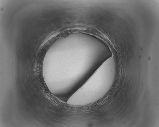X0000086101448200703231038