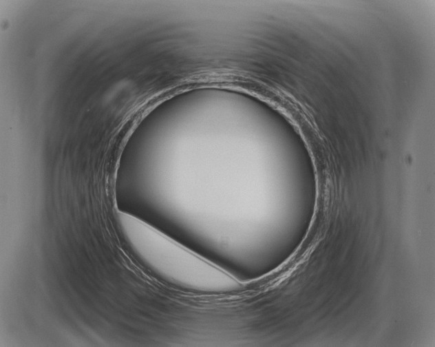 X0000086101449200703231038