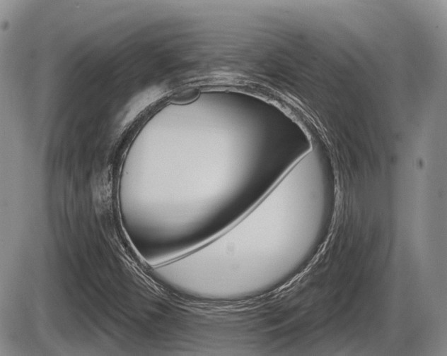 X0000086101450200703231038