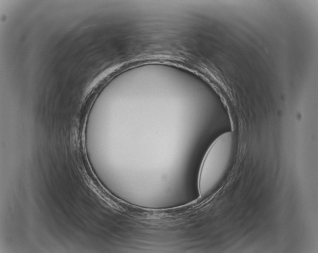 X0000086101452200703231038