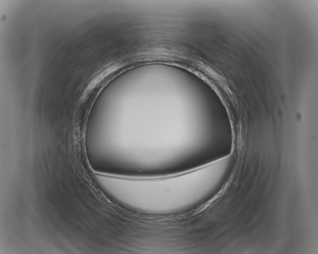 X0000086101453200703231038