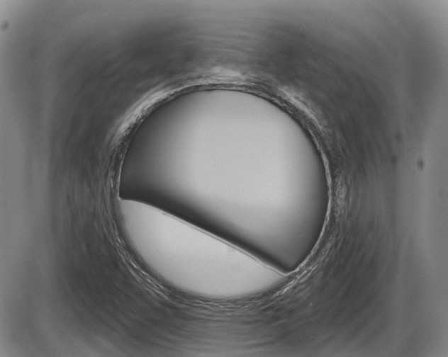 X0000086101455200703231038