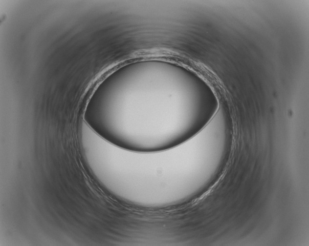 X0000086101457200703231038