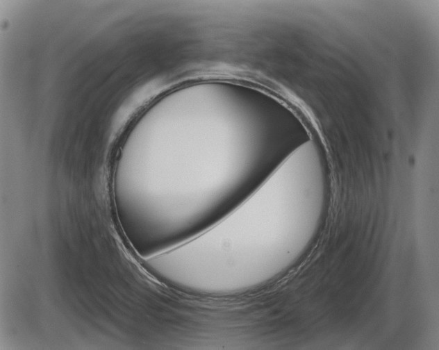 X0000086101464200703231038