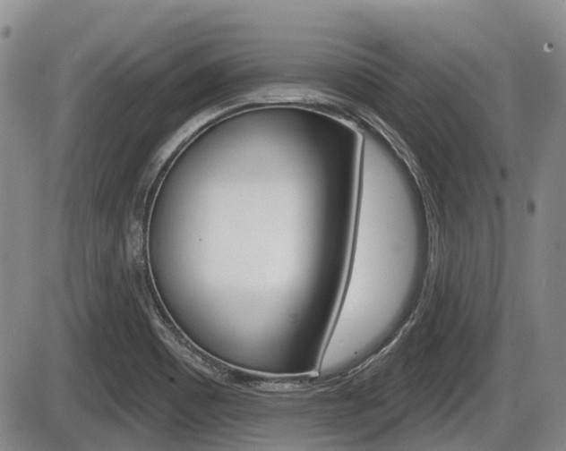 X0000086101465200703231038