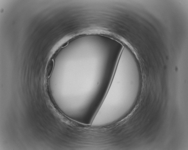 X0000086101469200703231038
