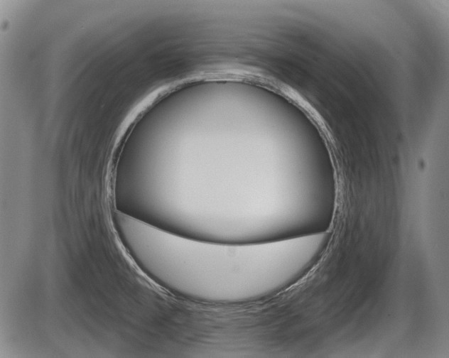 X0000086101477200703231038