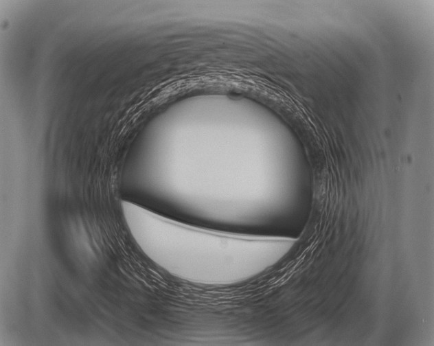 X0000086101490200703231037