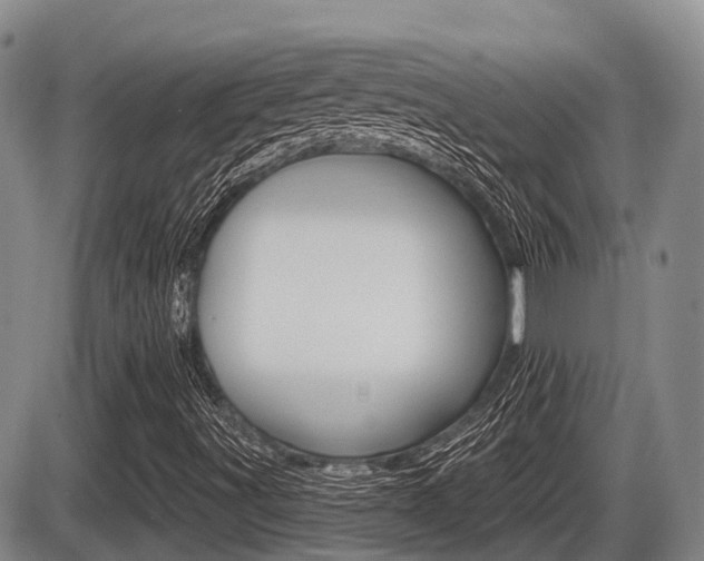 X0000086101491200703231037