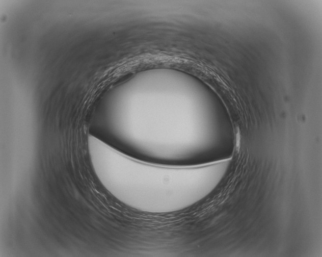 X0000086101492200703231037