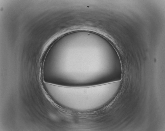 X0000086101511200703231037