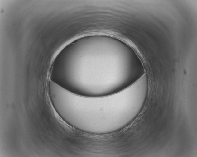 X0000086101524200703231037