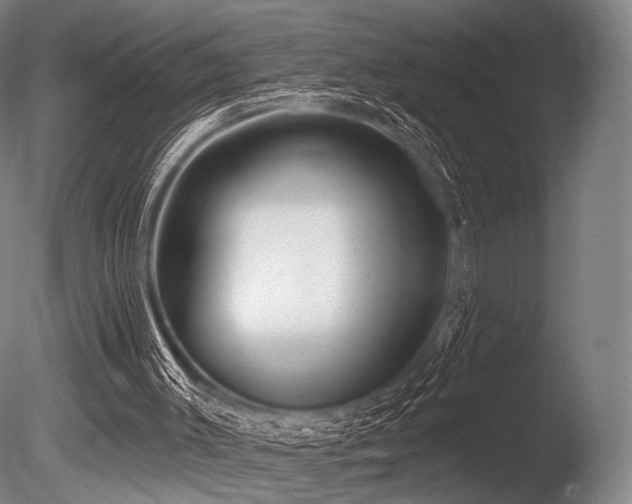 X0000086100003200703231447