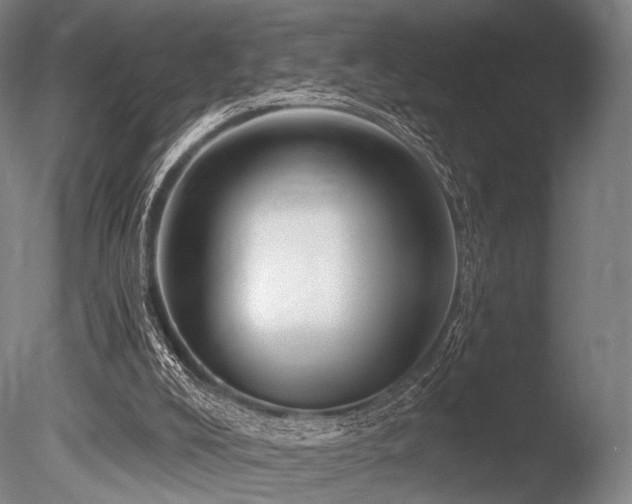 X0000086100008200703231447