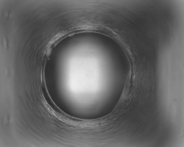 X0000086100011200703231447