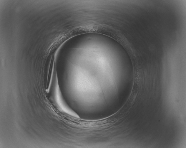 X0000086100023200703231447