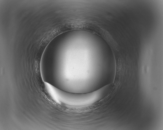 X0000086100025200703231447