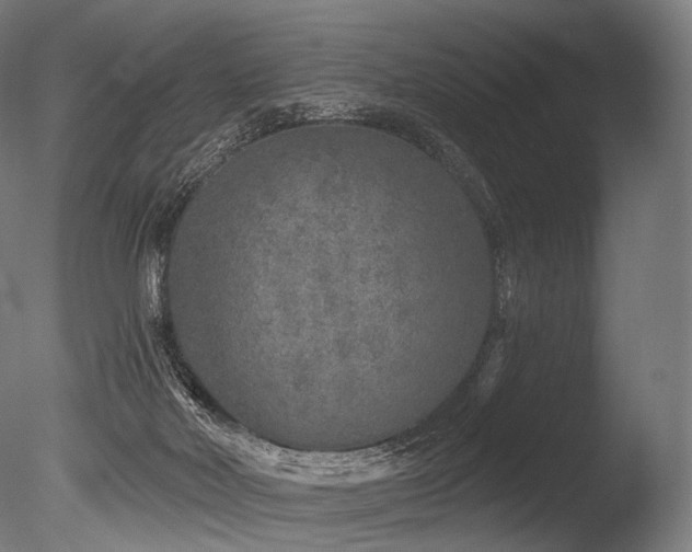 X0000086100026200703231447