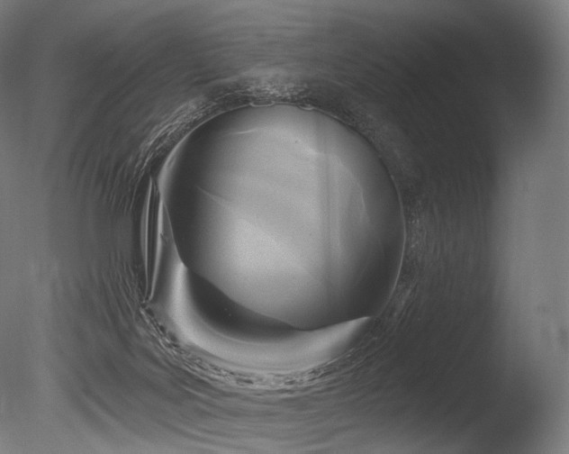 X0000086100027200703231447