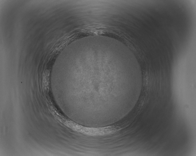 X0000086100030200703231446
