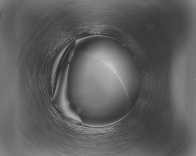 X0000086100031200703231446