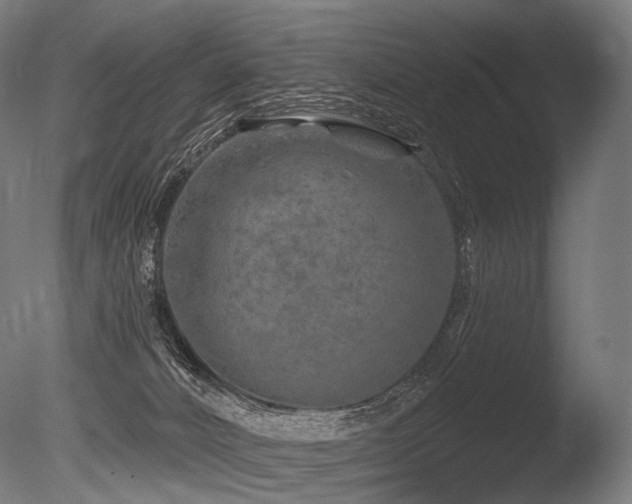 X0000086100032200703231446