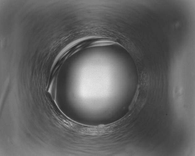 X0000086100033200703231446