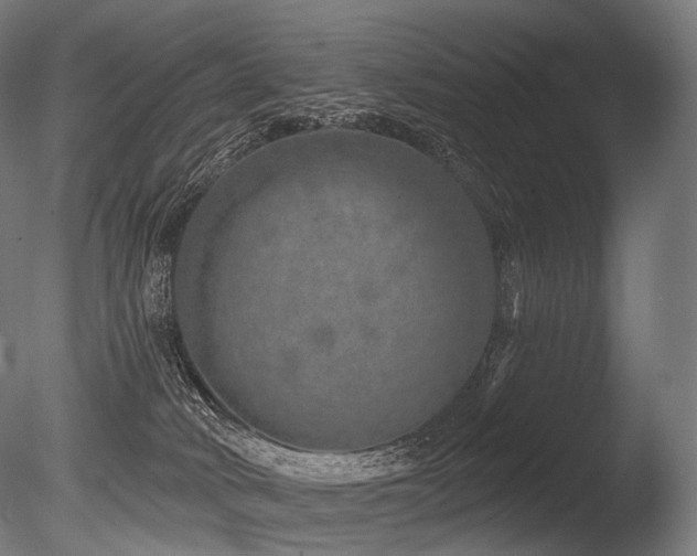 X0000086100034200703231446